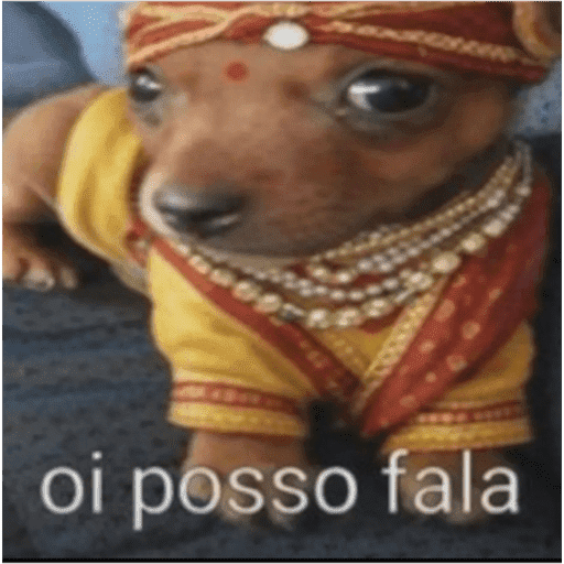 Seila 21