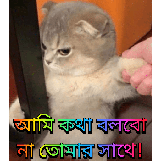 CUTE BILLI 5