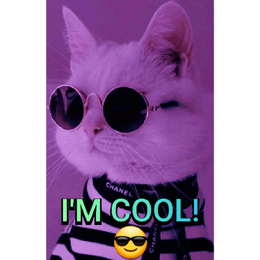 CUTE BILLI 6