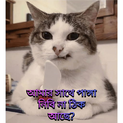 CUTE BILLI 8