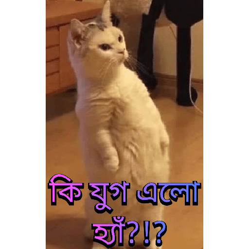 CUTE BILLI 9