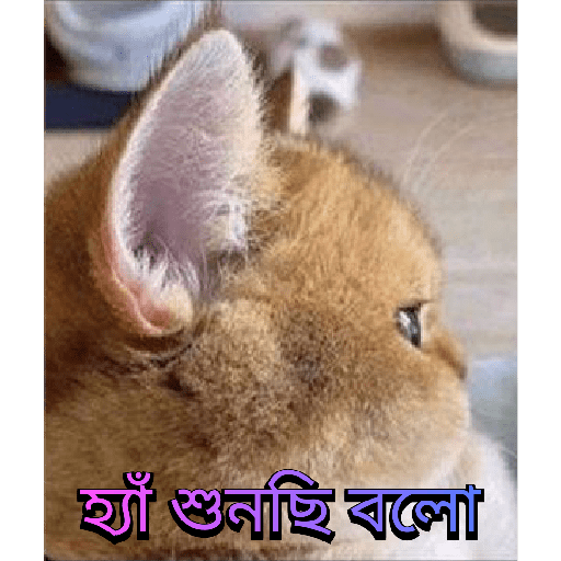 CUTE BILLI 10