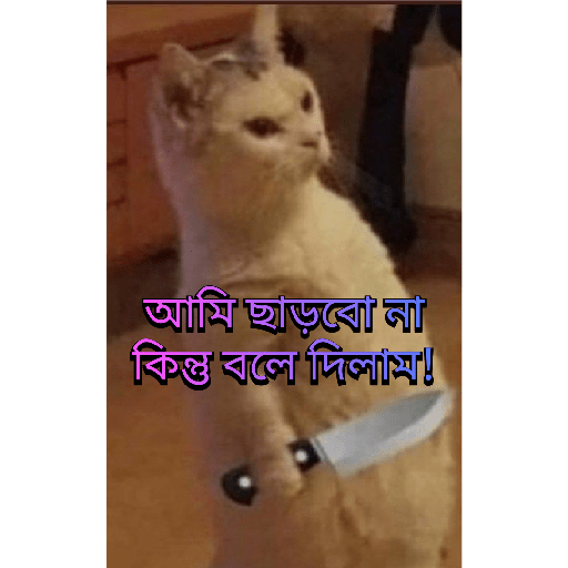 CUTE BILLI 11