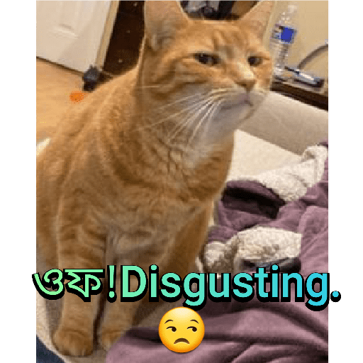 CUTE BILLI 12