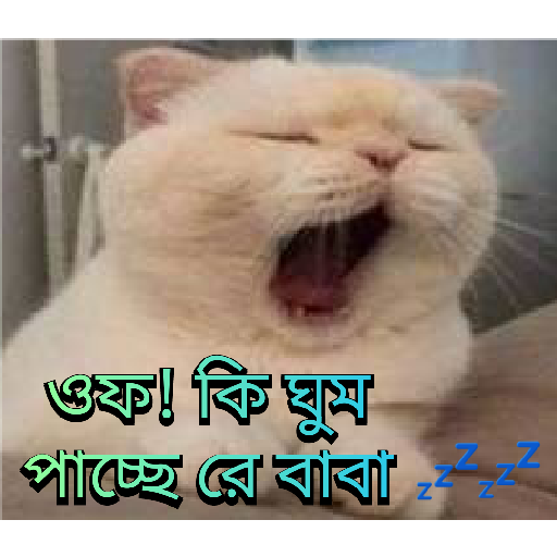 CUTE BILLI 13