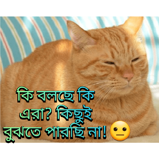 CUTE BILLI 14
