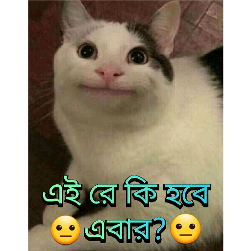 CUTE BILLI 15