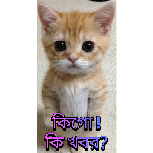 CUTE BILLI 16