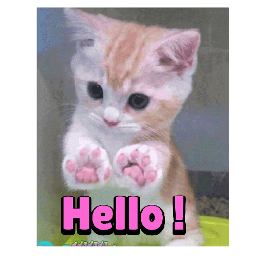 CUTE BILLI 17