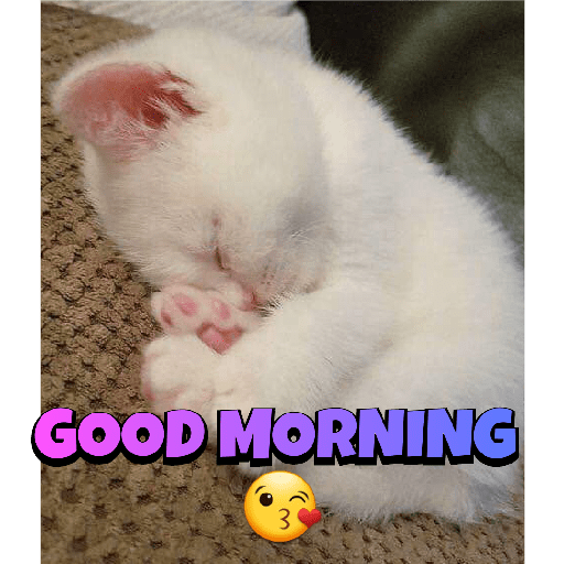 CUTE BILLI 18