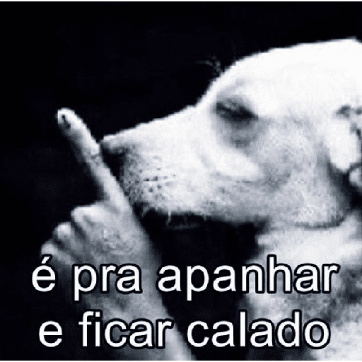 MULIRO LEITE 7