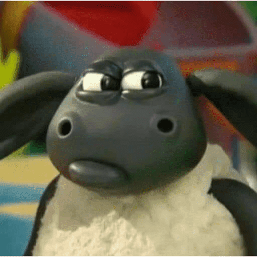 Puzzled Shaun