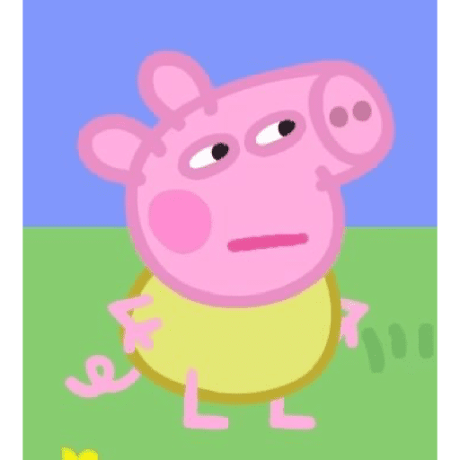 Confused Pig