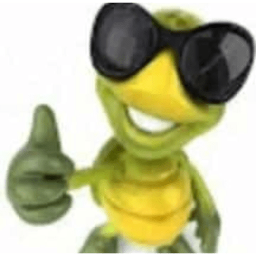 Cool Turtle