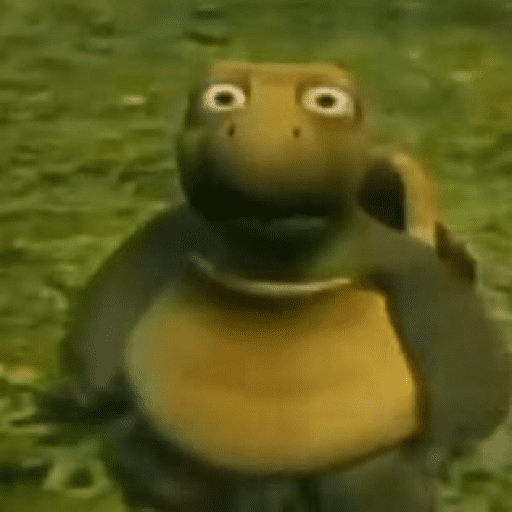 Shocked Turtle