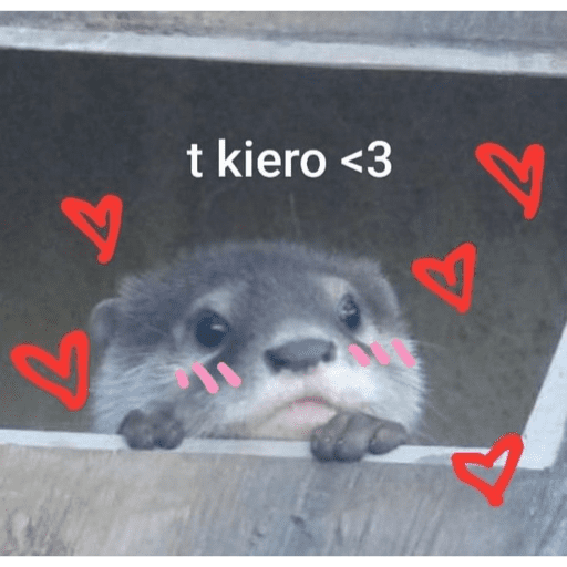 Love Otter