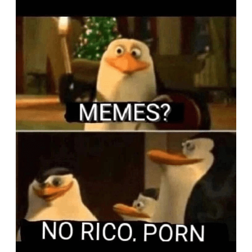 MEMES? NO RICO. PORN