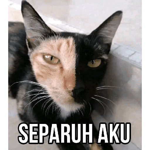 Stiker Saya 23