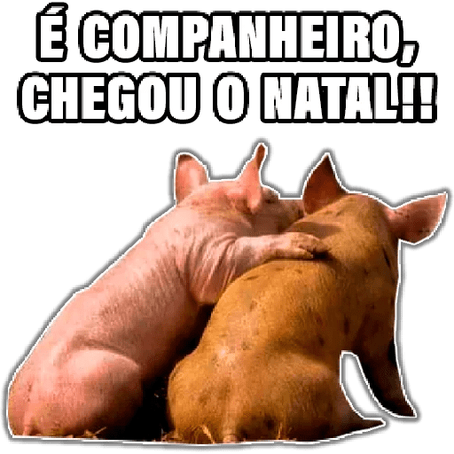 ChurrascoRaiz 10