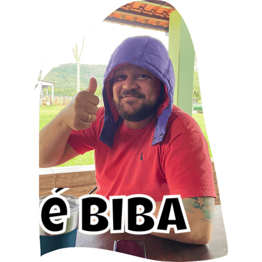 Minhas 13
