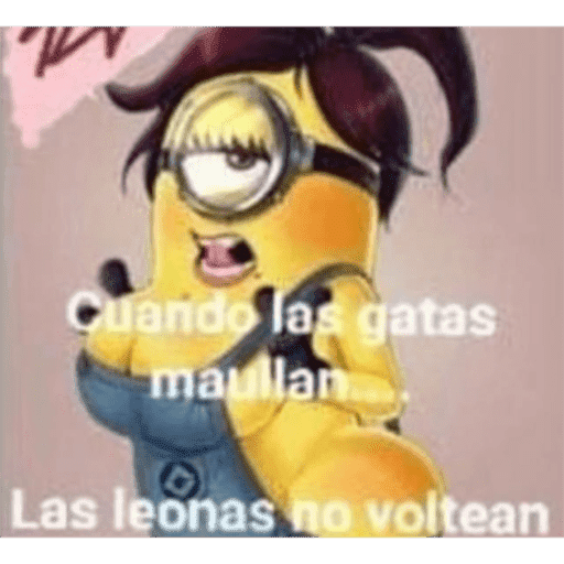 Yoo 7