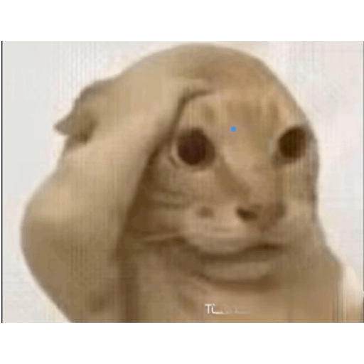 Pura mamada 11