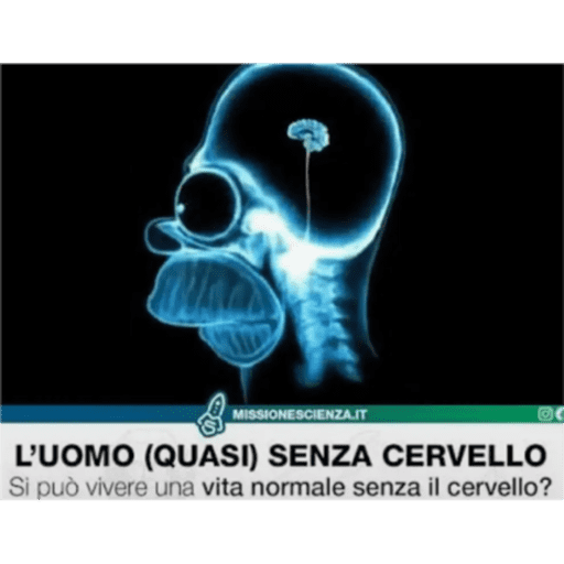 Berlusconi bunga bunga 2