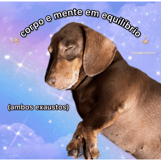 Bef 5