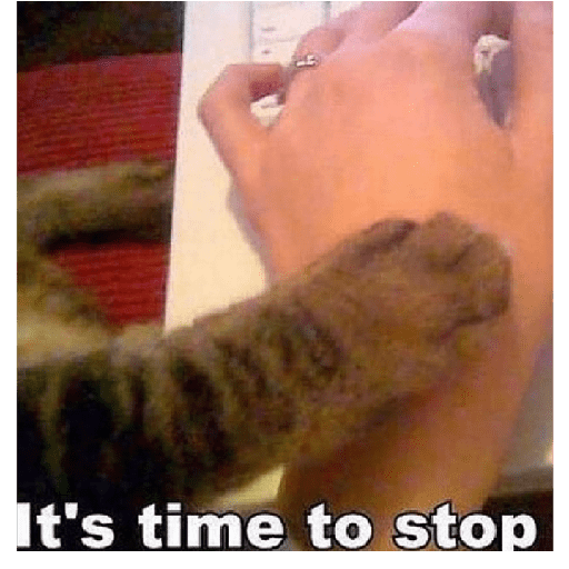 Miau 9