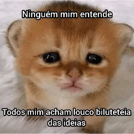 Miau 16