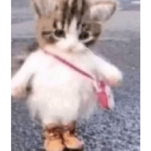 Miau 18