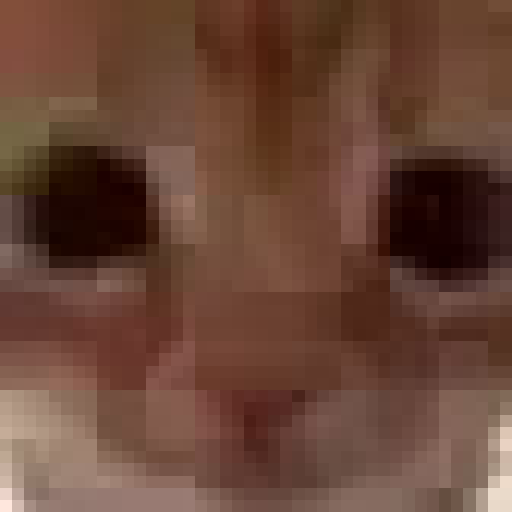Miau 26