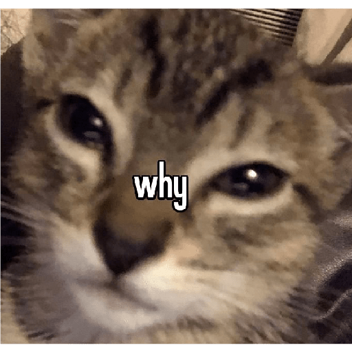 Miau 28