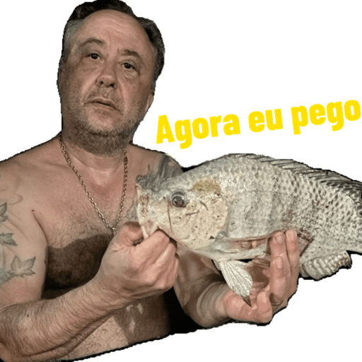 Minhas figurinhas 6
