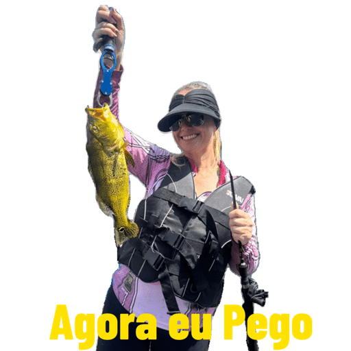 Minhas figurinhas 20