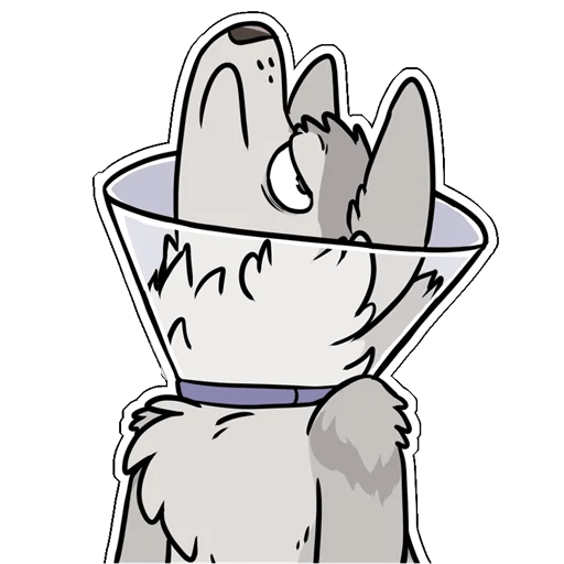Cone of shame