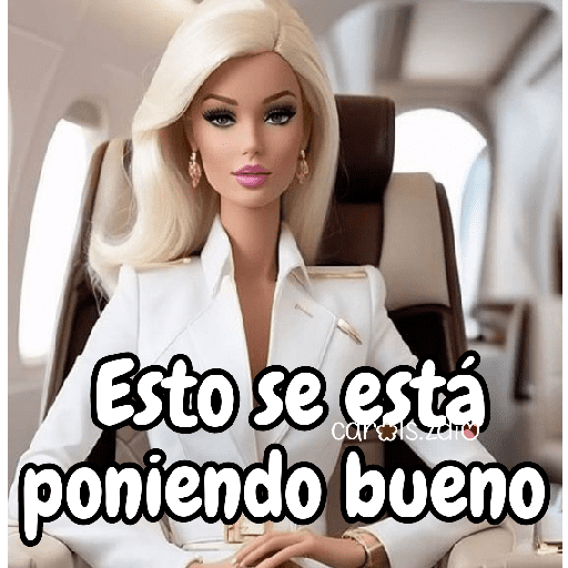 Barbie para contestar 👗🎀💅 15