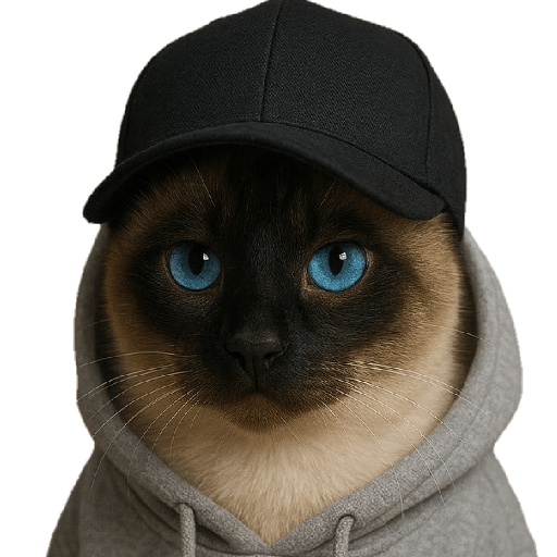 Funny Cats ✨🐾 6
