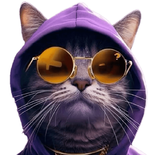 Funny Cats ✨🐾 11