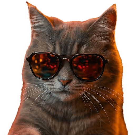 Funny Cats ✨🐾 12