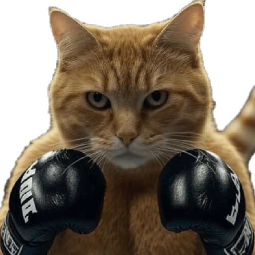Funny Cats ✨🐾 14