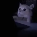 ɱҽɱҽʂ ɾAռԃօɱ ᠅ 9