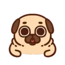 Pug  Mov 12