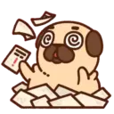 Pug  Mov 11