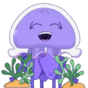 Jellyfish tony 19