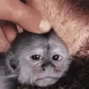 ɱҽɱҽʂ ɾAռԃօɱ ᠅ 17