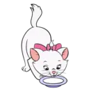 Mary kitty 5