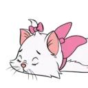 Mary kitty 18
