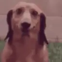 ɱҽɱҽʂ ɾAռԃօɱ ᠅ 16