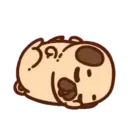 Pug  Mov 15